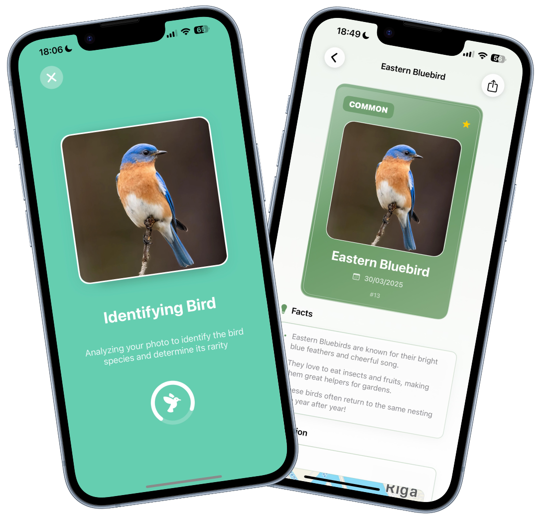 Nature Cards App showing bird identification and collection features