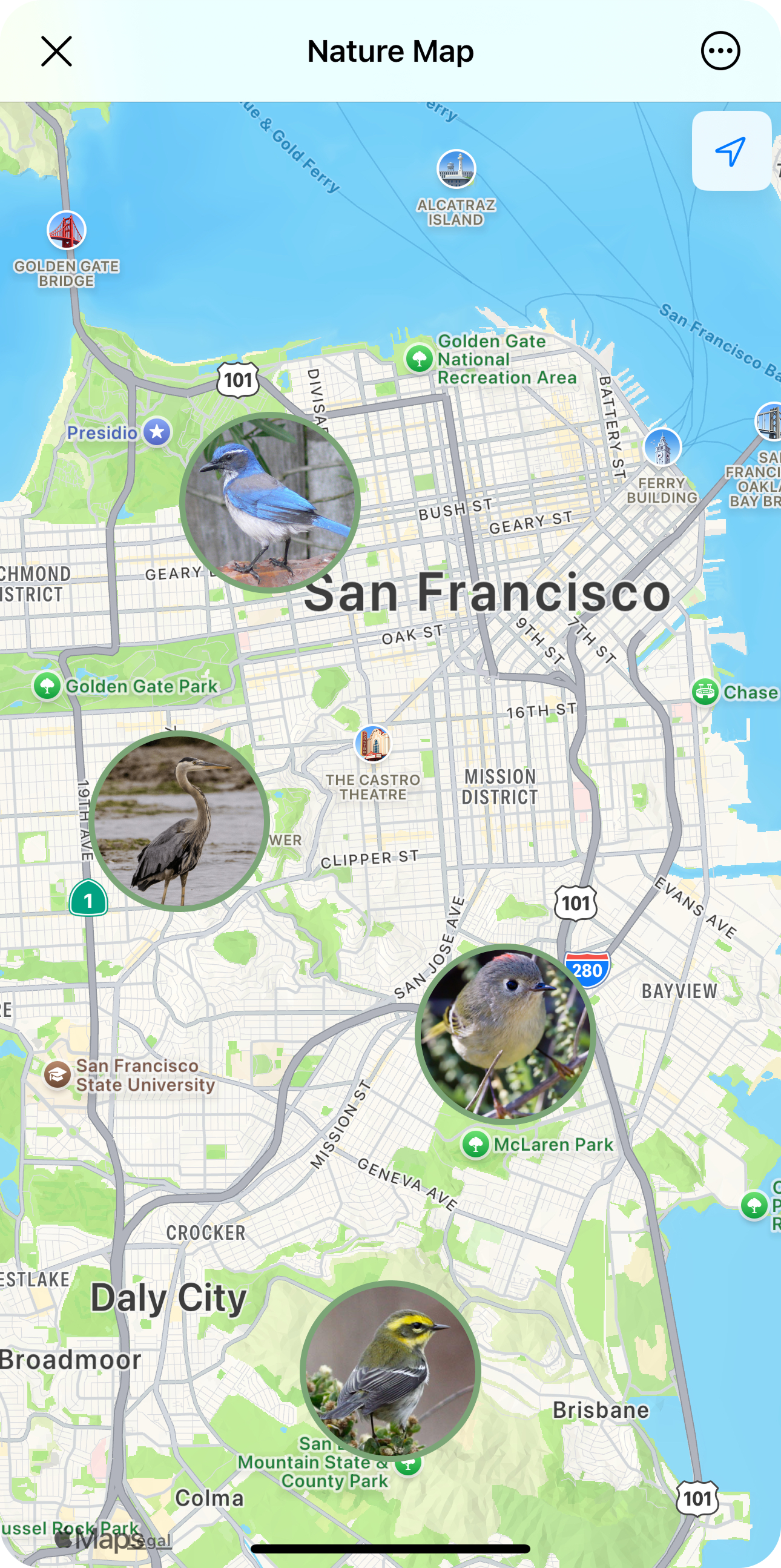 Interactive map showing locations of bird sightings and species tracked by user